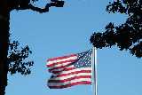Click to see 040830flag10.jpg